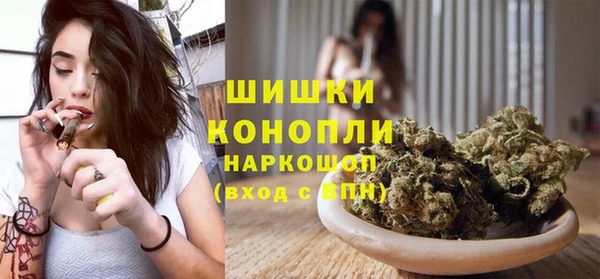 гашик Богородицк
